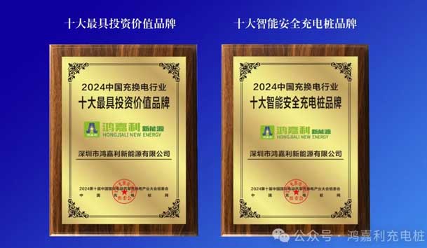 匠心致远，载誉前行：2024年乐玩LEWIN新能源荣获充换电十大品牌奖！