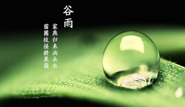 今日谷雨 | 谷得雨而生，夏天要醒了！