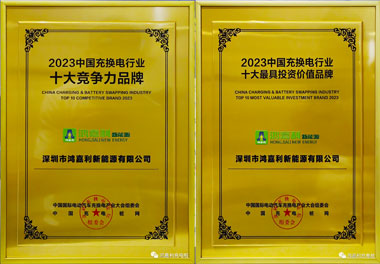 青春不问韶华，努力终有收获，乐玩LEWIN再获充换电行业十大品牌！(图11)